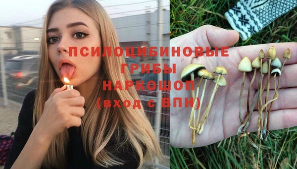 мет Алзамай