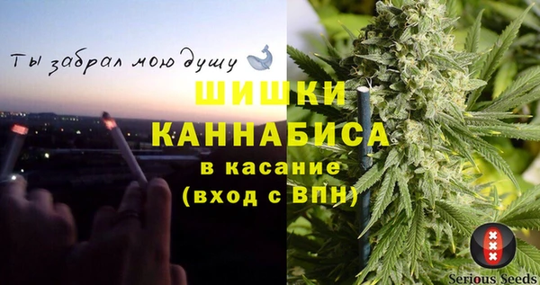 ешки Алексин
