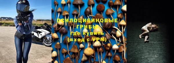 мет Алзамай