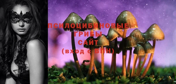 ешки Алексин