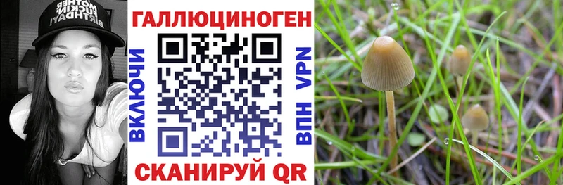 Галлюциногенные грибы Magic Shrooms  сайты даркнета какой сайт  Сураж 