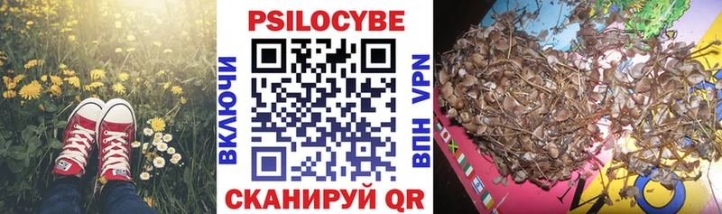 Галлюциногенные грибы Cubensis Сураж