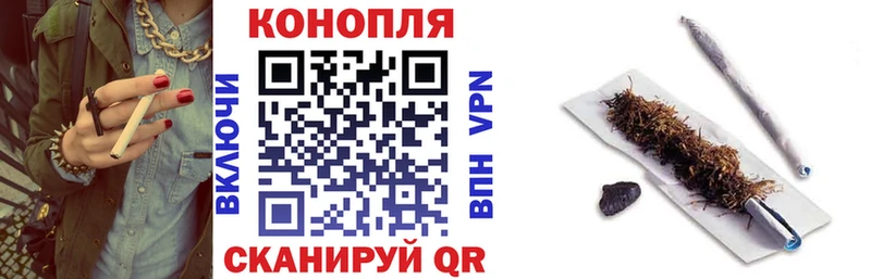 Канабис OG Kush  что такое наркотик  Сураж 